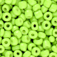 Seed beads 6/0 (4mm) Apple green